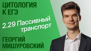 2.29. Пассивный транспорт через мембраны | Цитология к ЕГЭ | Георгий Мишуровский