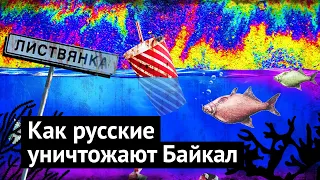 Байкал: живодёрни, мусор, реклама и самострой