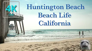 HUNTINGTON BEACH PIER, SURF CITY CALIFORNIA 【4K】UHD, USA 2020