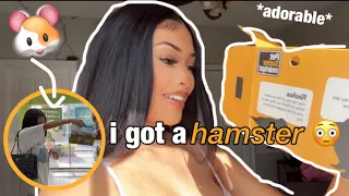 i got a hamster… spontaneously 😳 |decorating detolf cage, supplies haul, and more!|