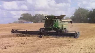 Big Wheat Harvest with 8 John Deere S690 Combines