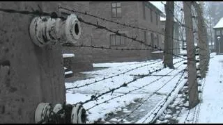 A Lesson from Auschwitz - Part 2