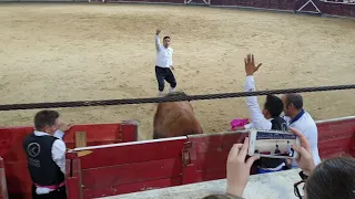 Amazing jump over bull