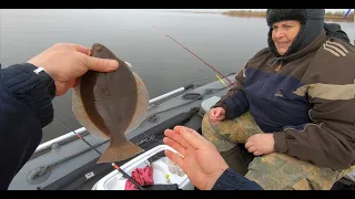 БЕЛОЕ МОРЕ.  РЫБАЛКА НА КАМБАЛУ, САМУЮ ВКУСНУЮ КАМБАЛУ В МИРЕ