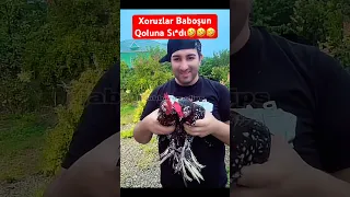 Baboşun Qoluna Sı*dılar😂 || #baboş