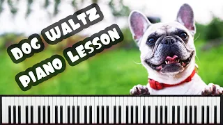 Flea Waltz - Dog Waltz - EASY Piano Tutorial | Собачий Вальс - УРОК для начинающих