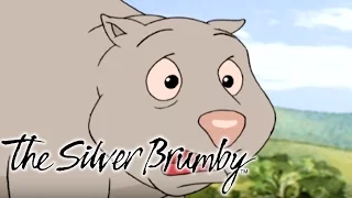 The Silver Brumby | Wombat Goes on a Holiday and  Arrow Makes a Friend | Cartoons For Children