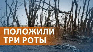 НОВОСТИ СВОБОДЫ: ВСУ ударили по полигону под Волновахой: десятки российских военных погибли