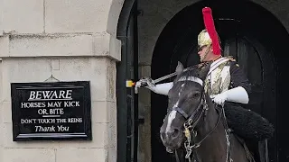 Guard hits PANIC BUTTON after spotting an idiot from his horse!