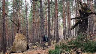 Wigwam in the forest. I build and spend the night. Solo Bushcraft
