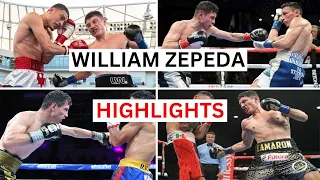 William Zepeda (27-0) Knockouts & Highlights