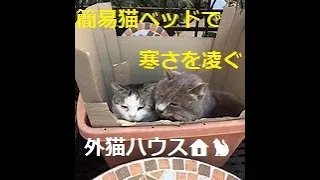 【外猫用簡易猫ベッド】寒さを凌ぐ場所🐱身近なもので温かな場所を！