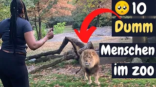 Top 10 dümmsten Menschen im Zoo | Warum macht man das? 🤦‍♂️