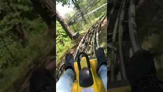 Funny accident in Alpine coaster #shorts #funny #beautiful #trending