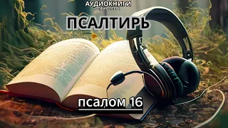 ПСАЛОМ 16. Псалтырь . Библия . Книги Священного писания.