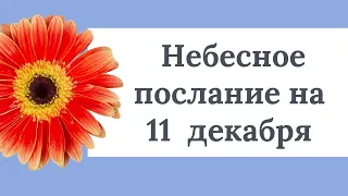 Небесное послание на 11 декабря.  Позвольте изобилию придти в вашу жизнь.