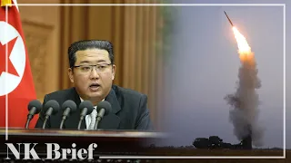 N. Korea test-fires new anti-aircraft missile