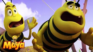 The Wasps Regret Picking A Fight With Willy! - Maya the bee🍯🐝🍯