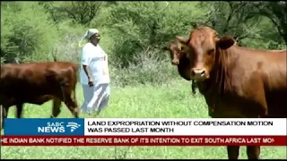 Prof Steven Friedman on land expropriation without compensation