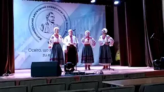 Поліський Академічний ансамбль пісні і танцю «Льонок» «Сивий кінь»