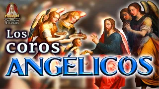 La JERARQUÍA ANGÉLICA: ¿Cuáles son los Coros Angélicos?🎙️37° PODCAST con los Caballeros de la Virgen