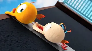 Onde está Chicky? 2023 | A PONTE | Desenhos Animados Infantil | Novos episódios