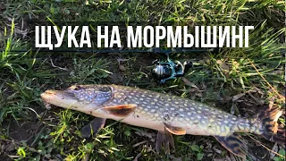 МОНСТР КЛЮНУЛ НА МОРМЫШКУ! Мормышинг в центре города