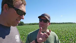 Checking Crops with my Agronomist