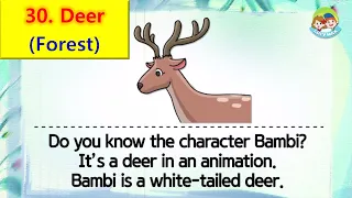 80 Animals | Unit 30 - Forest | Deer