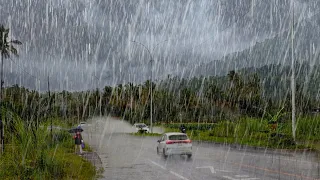 Heavy Rain Wets My Village | Walking in the Rain | Sleep instantly with the sound of heavy rain