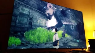 The Last Guardian: PS4Pro running on Samsung KS8000 Part #3