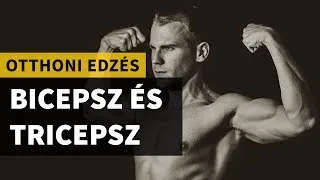 Otthoni edzés: bicepsz és tricepsz