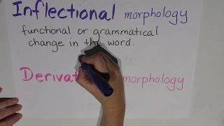 Episode 6 : Morphology - Inflectional v's derivational