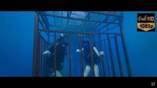 47 Meters Down - Looking at the sharks while in the cage-the wench breaks-the cage falls-Mandy Moore
