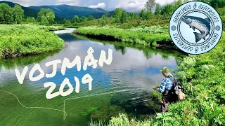 Vojmån 2019  - Fly Fishing in Swedish Lapland