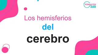 Los hemisferios del cerebro