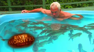 Swimming With Red Belly Piranhas In A Pool | PIRANHA | River Monsters