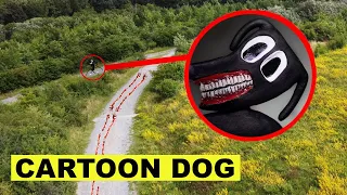 DROHNE erwischt CARTOON DOG in VERLASSENEM WALD!! | KAMBERG TV