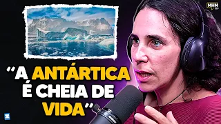 COMO É IR PARA A ANTÁRTIDA (com Maria Homem) | PODCAST do MHM