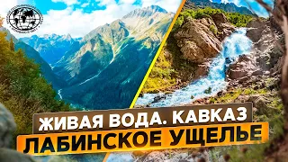 Живая вода. Кавказ | @rgo_films | Лабинское ущелье