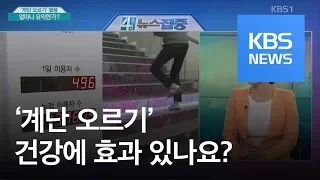 ‘계단 오르기’ 열풍…얼마나 유익한가? / KBS뉴스(News)