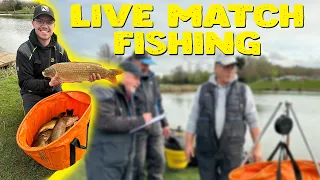 Can I Get Back To WINNING Matches? | Makins Live Match Fishing