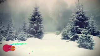 FAIRY WINTER LANDSCAPE W/ NCR Music