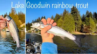 Rainbow Trout Fishing at Lake Goodwin WA Catch+Cook