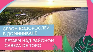 Сезон водорослей в Доминикане. Летаем над районом Cabeza De Toro.