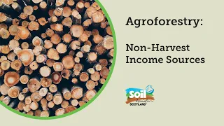 Soil Association Scotland / Agroforestry: Non-Harvest Income Sources
