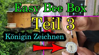 Easy Bee Box Teil 3 , Königin Zeichnen ,  Imkern wie da Jupp