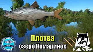 Трофейная Плотва на озере Комариное - Русская Рыбалка 4
