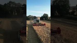 Harvesting winter barley In Yorkshire. Claas Lexion 540 C