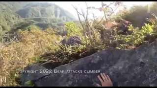Альпинист отбился от медведя